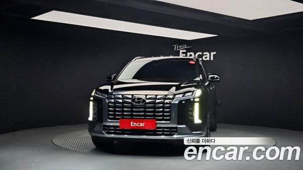 Hyundai Palisade 2024, фото 3