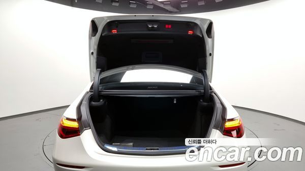 Mercedes-Benz S-Class 2021, фото 20