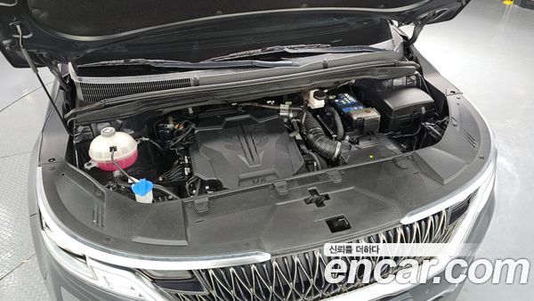 Kia Carnival 2021, фото 6