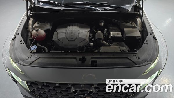 Hyundai Santa Fe 2021, фото 6