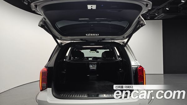 Hyundai Palisade 2024, фото 25