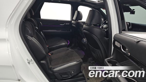 Hyundai Palisade 2024, фото 15