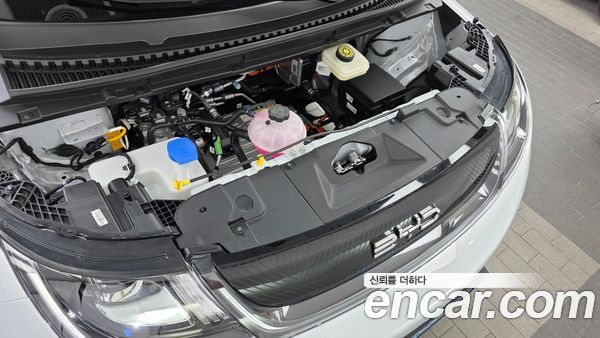 BYD Dolphin 2026, фото 6