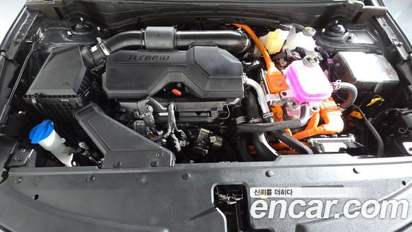 Kia Sportage 2025, фото 5