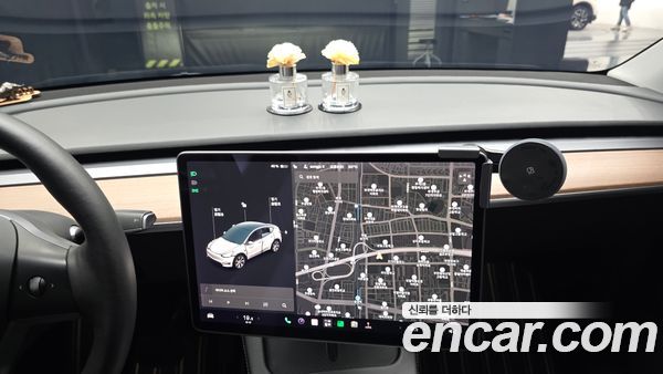 Tesla Model Y 2021, фото 14