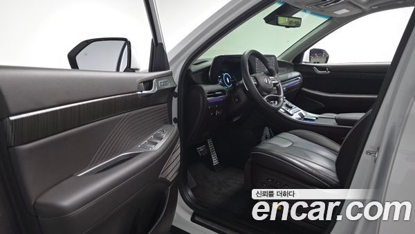 Hyundai Palisade 2024, фото 10