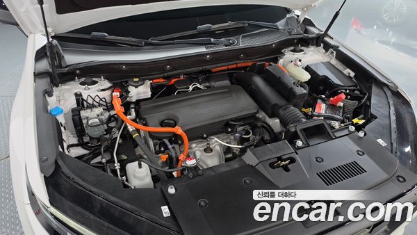 Honda CR-V 2024, фото 6