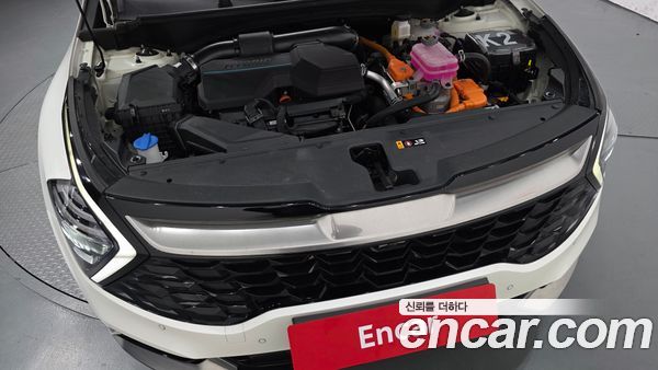 Kia Sportage 2024, фото 5