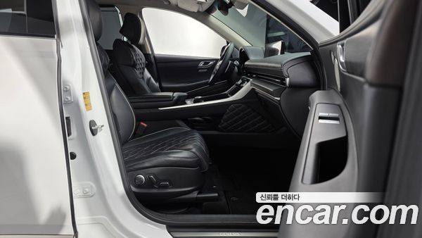 Genesis GV80 2020, фото 15