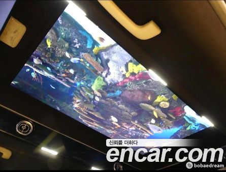 Kia Carnival 2026, фото 14