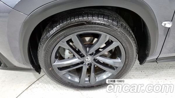 Lexus NX 2024, фото 5