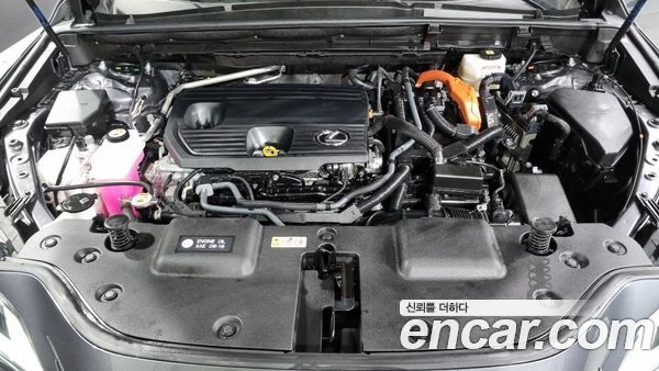 Lexus NX 2024, фото 6