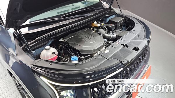 Kia Carnival 2024, фото 6