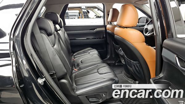 Hyundai Palisade 2020, фото 12