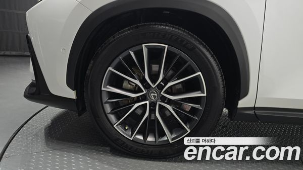 Lexus NX 2023, фото 5