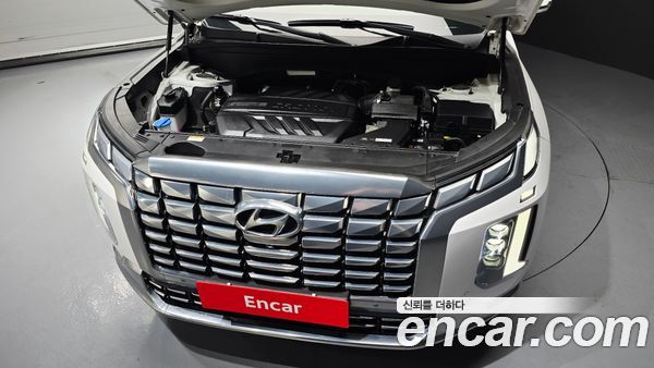 Hyundai Palisade 2024, фото 6