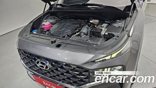 Hyundai Santa Fe 2021, фото 6