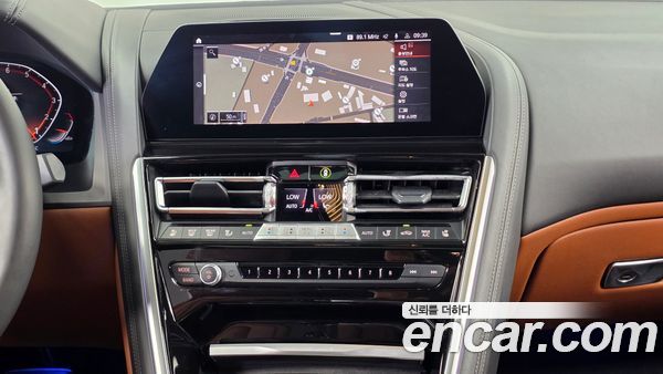 BMW 8 Series 2022, фото 20
