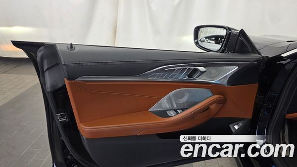 BMW 8 Series 2022, фото 14