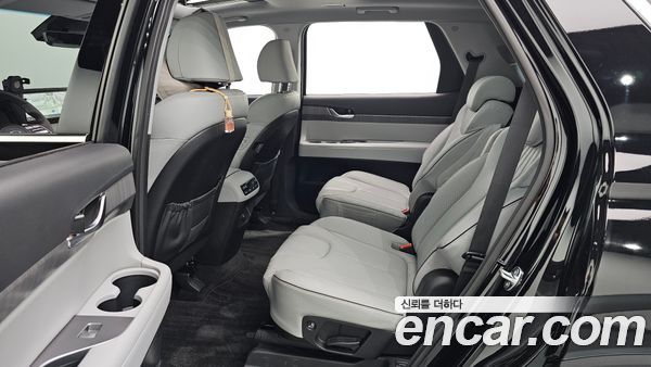 Hyundai Palisade 2024, фото 16