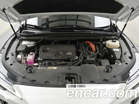 Lexus RX 2024, фото 6