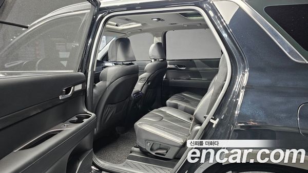 Hyundai Palisade 2020, фото 15