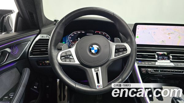 BMW 8 Series 2023, фото 20