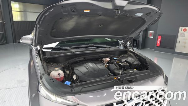 Hyundai Santa Fe 2021, фото 6
