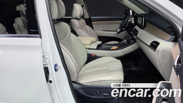 Hyundai Palisade 2020, фото 16