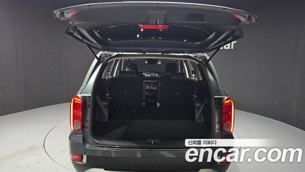 Hyundai Palisade 2022, фото 20