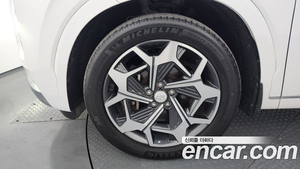 Hyundai Palisade 2021, фото 5