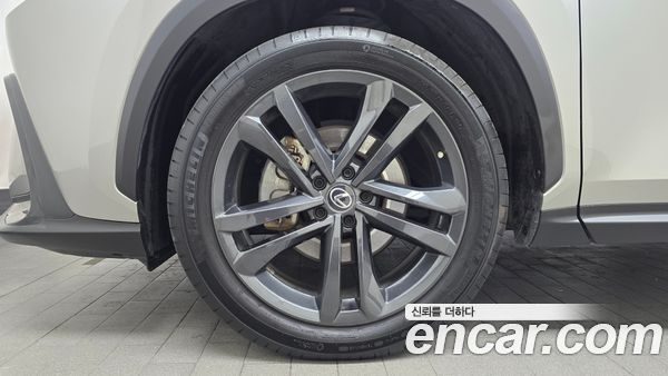 Lexus NX 2023, фото 5