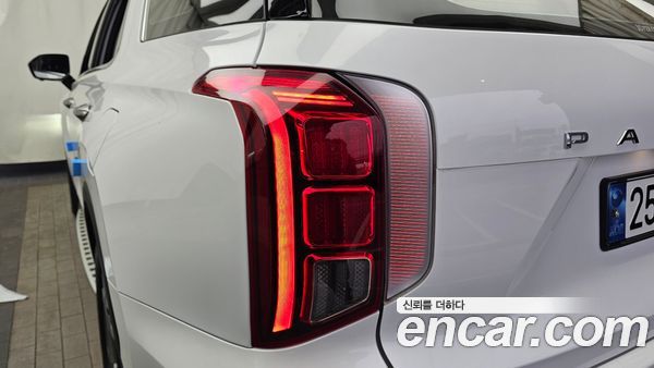 Hyundai Palisade 2024, фото 9