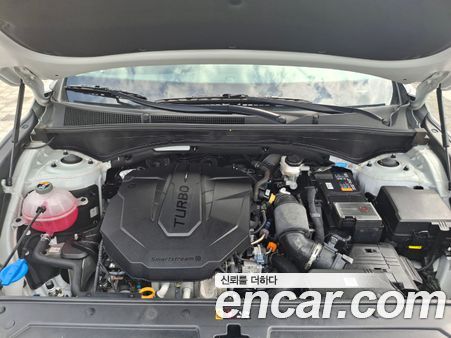 Hyundai Santa Fe 2022, фото 15