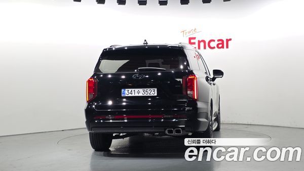 Hyundai Palisade 2024, фото 4