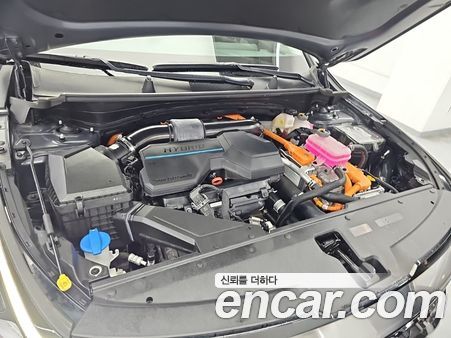 Kia Sportage 2024, фото 5