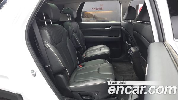 Hyundai Palisade 2024, фото 18