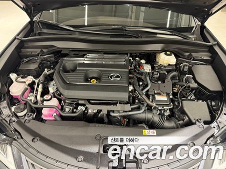 Lexus UX 2025, фото 6