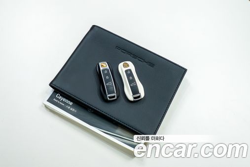Porsche Cayenne 2020, фото 20