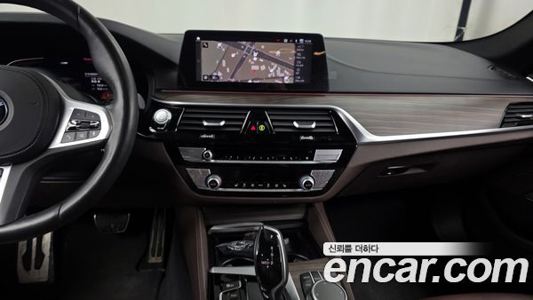 BMW 5 Series 2020, фото 14