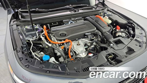 Honda Accord 2024, фото 6