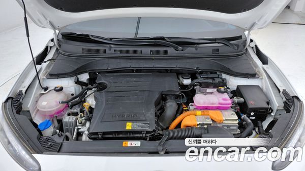 Hyundai Kona 2023, фото 6