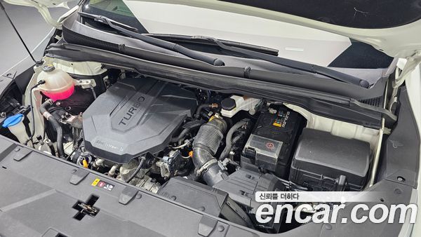 Kia Carnival 2021, фото 6