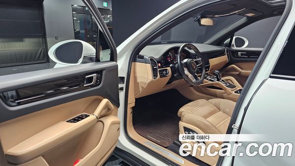 Porsche Cayenne 2020, фото 13