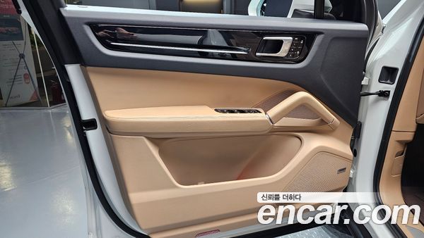 Porsche Cayenne 2020, фото 14