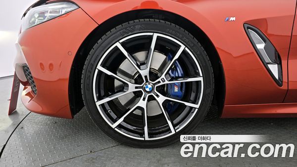 BMW 8 Series 2020, фото 5