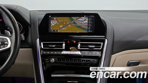 BMW 8 Series 2020, фото 14