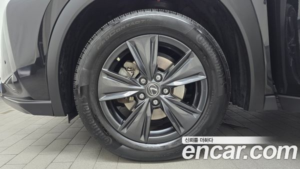 Lexus UX 2024, фото 4