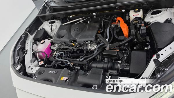 Toyota RAV4 2025, фото 6