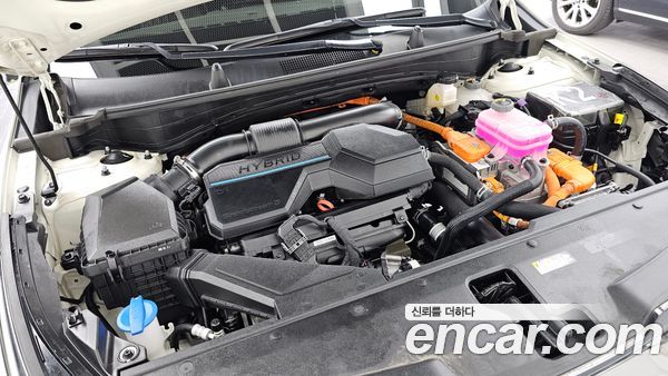 Kia Sportage 2023, фото 6